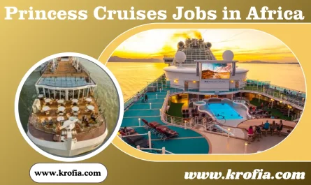 Princess cruise Jobs openings in Africa